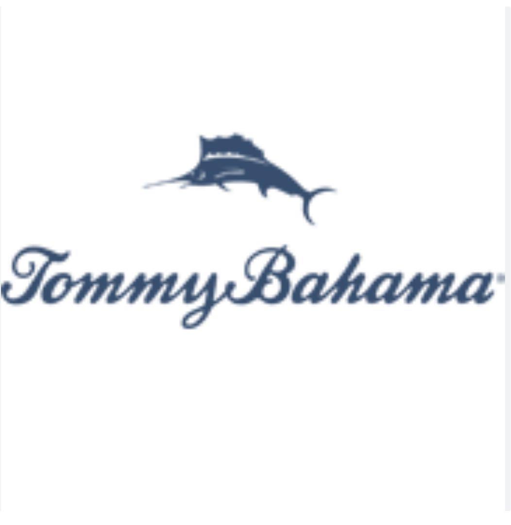 Tommy Bahama Light Blue Gray Chino Pants