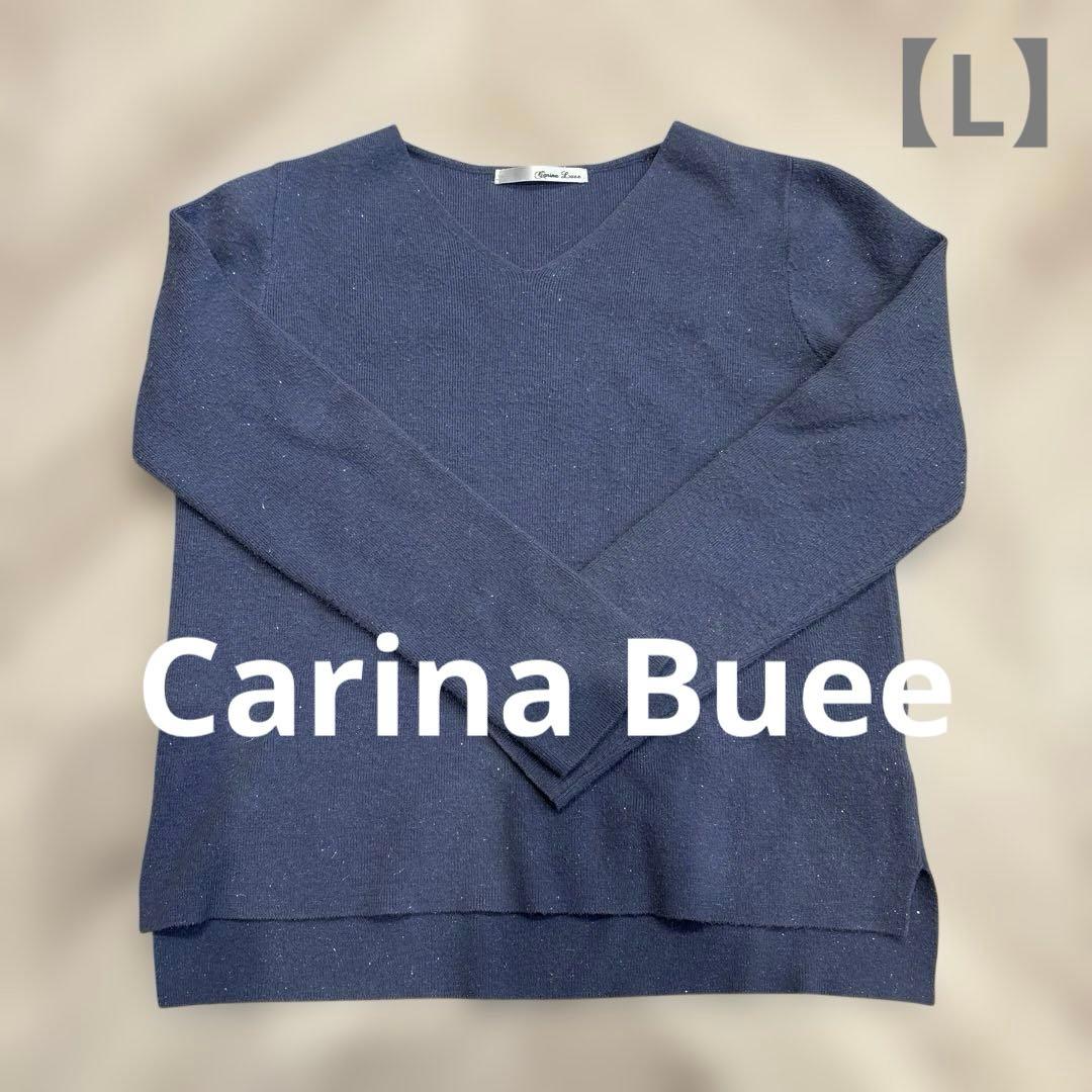 Good condition ✨ Carina Buee V-neck knit sweater 【L】Blue, sparkly, made in overseas