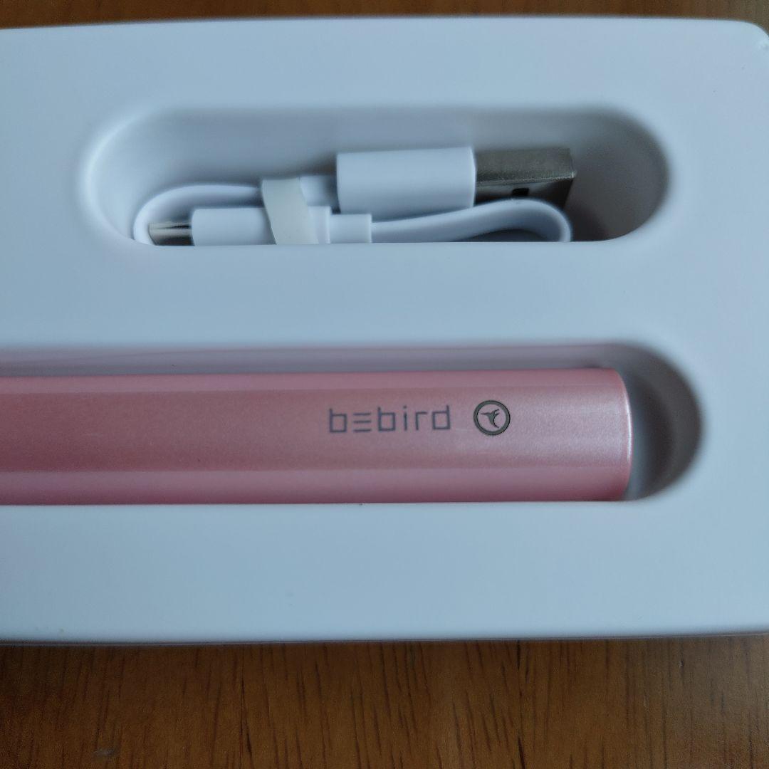 Smart Ear Pick with Camera