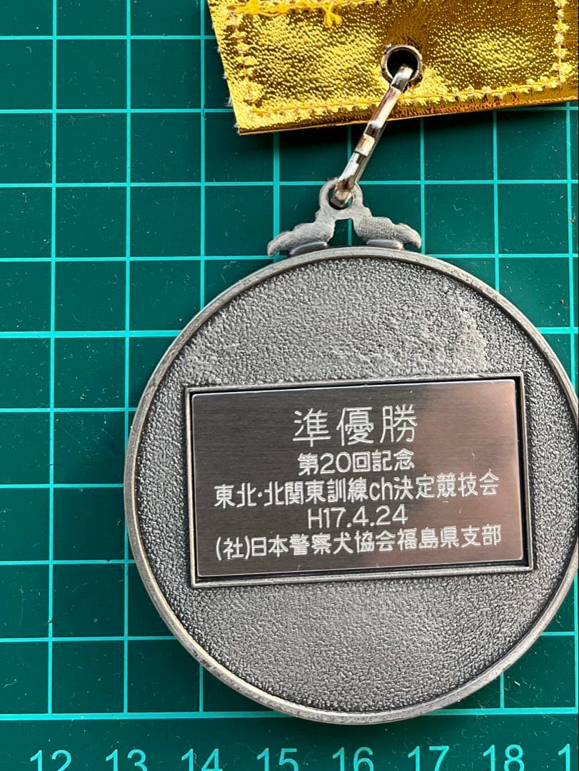silver medal