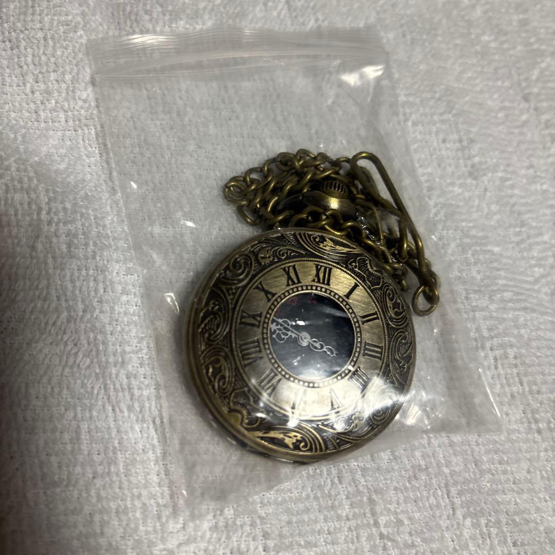 Elegant Pocket Watch