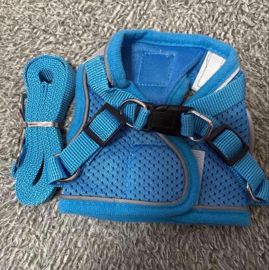 Blue Mesh Harness and Leash Set XS