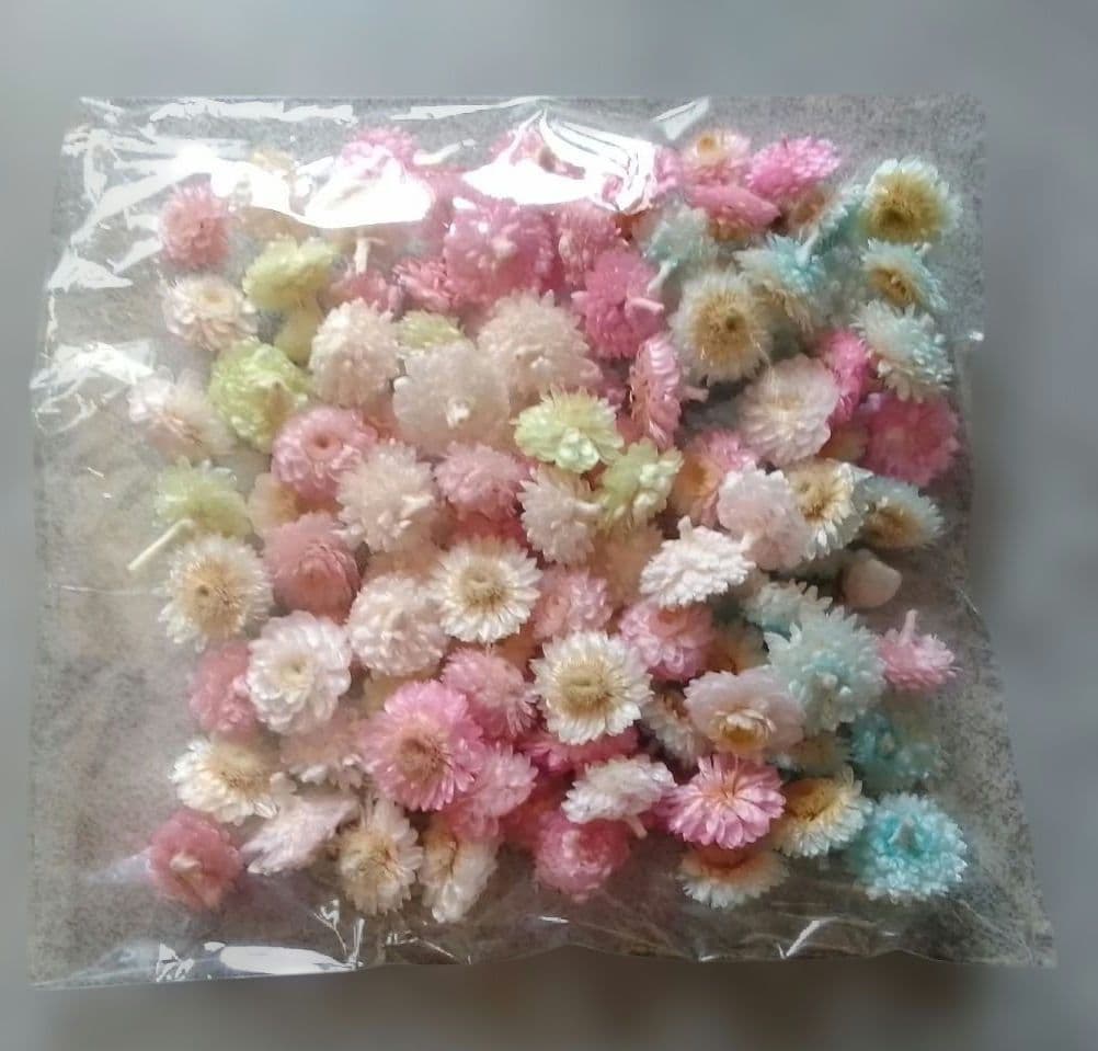Preserved Flower Material Immortelle Head