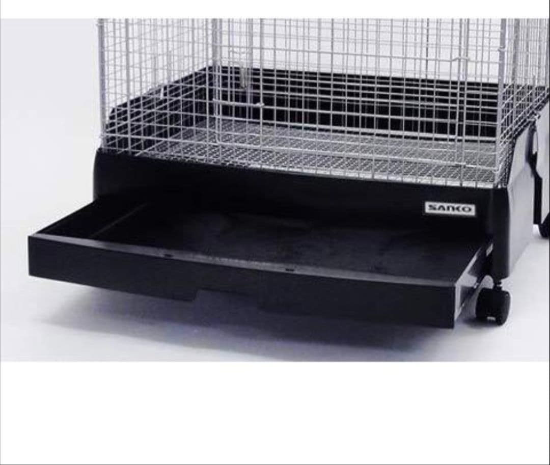 own chinchillas