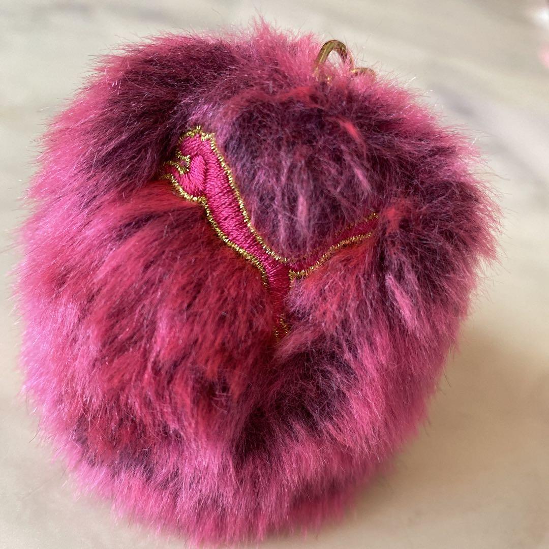 Puma Ball Case Charm