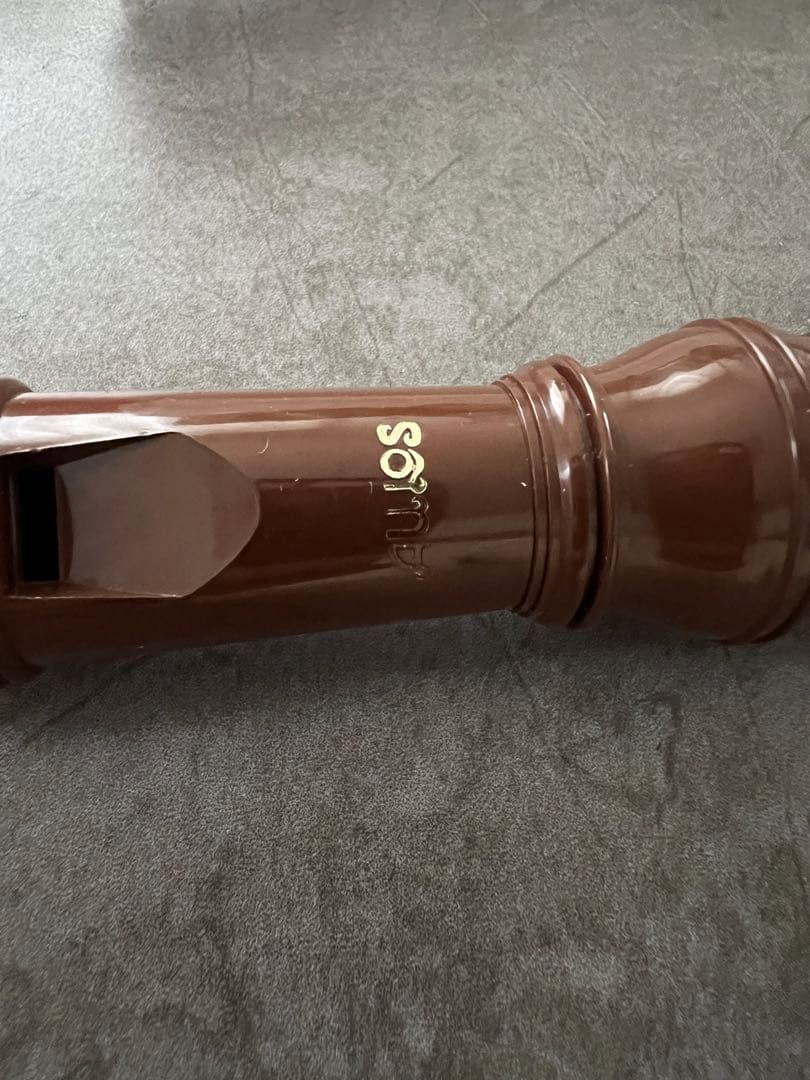 #soprano recorder<br>#school<br>#educational