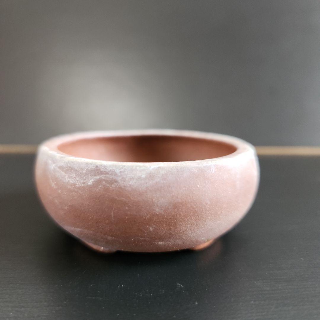 China Yixing Bonsai Pot, Mini Bonsai, Shohin Bonsai, Signed
