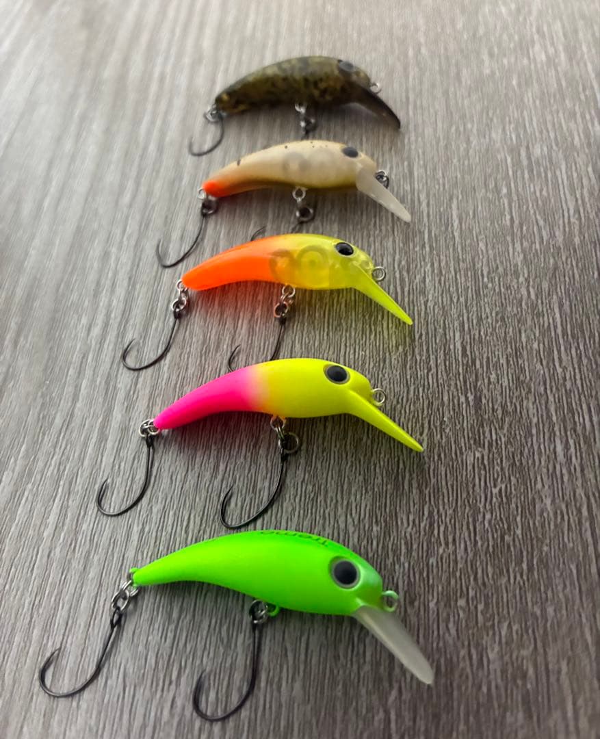 <br><br>fish flea listed