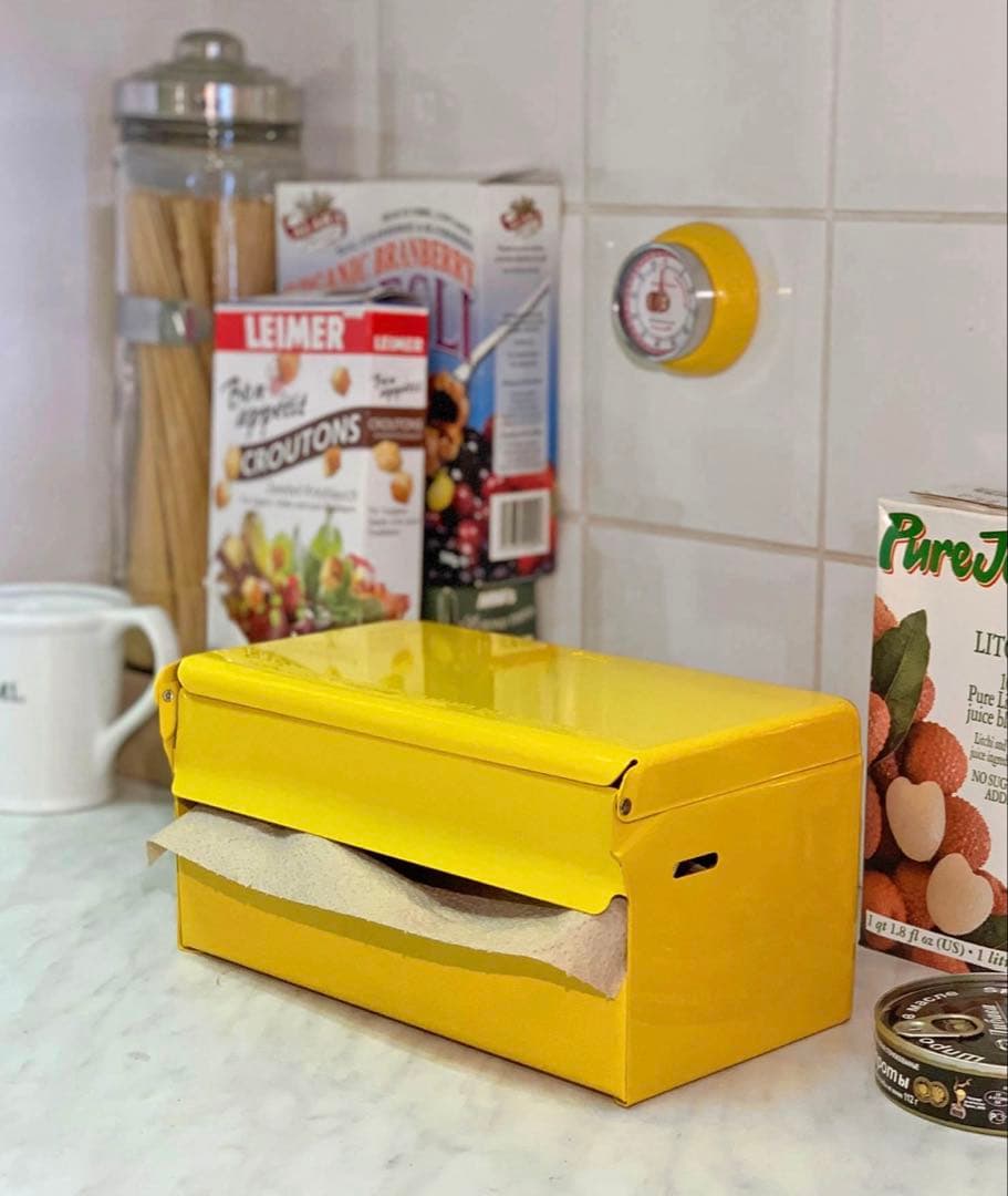 DULTON Dulton Paper Holder Tissue Dispenser Steel