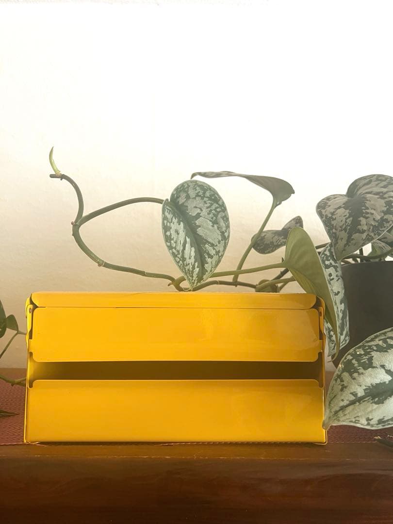 DULTON Dulton Paper Holder Tissue Dispenser Steel