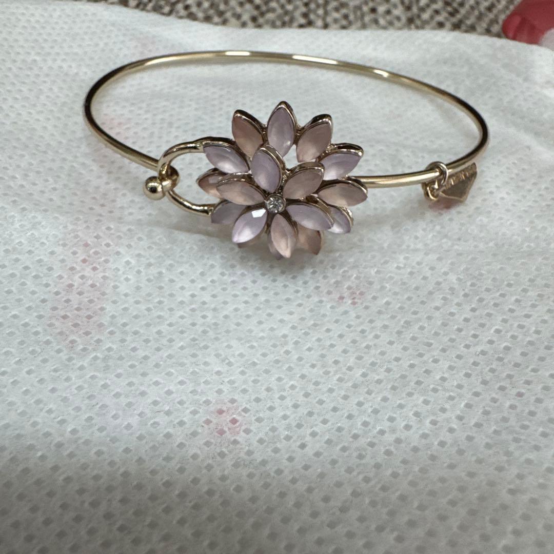 Apuweiser-riche Bracelet & Earrings