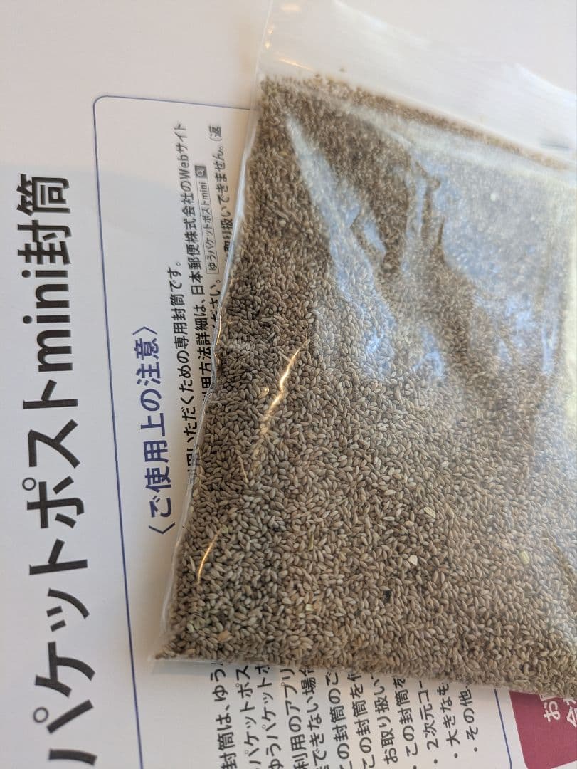 Timothy Grass Seeds - Fresh Hay - 100g