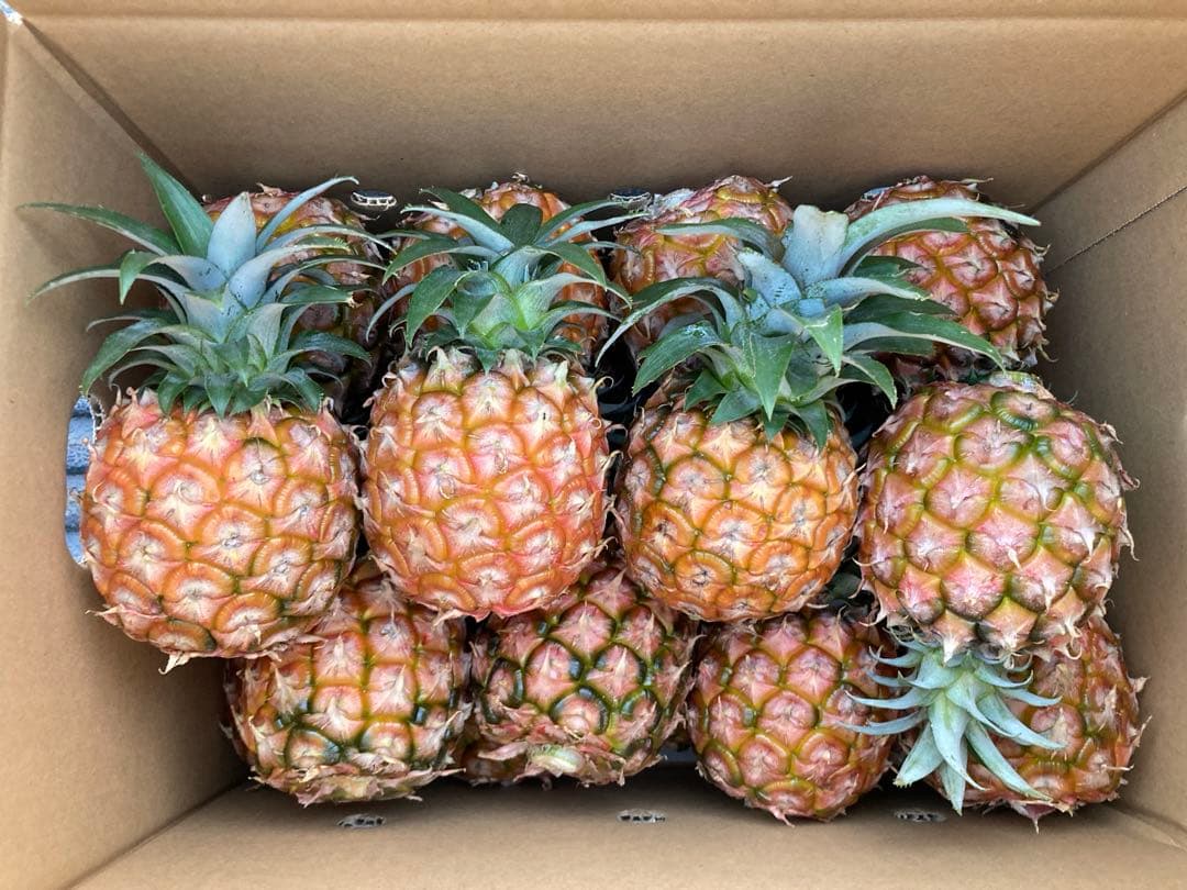 Ishigaki Island Fresh Ripe Peach Pineapples 400g-500g, 20-21 pieces