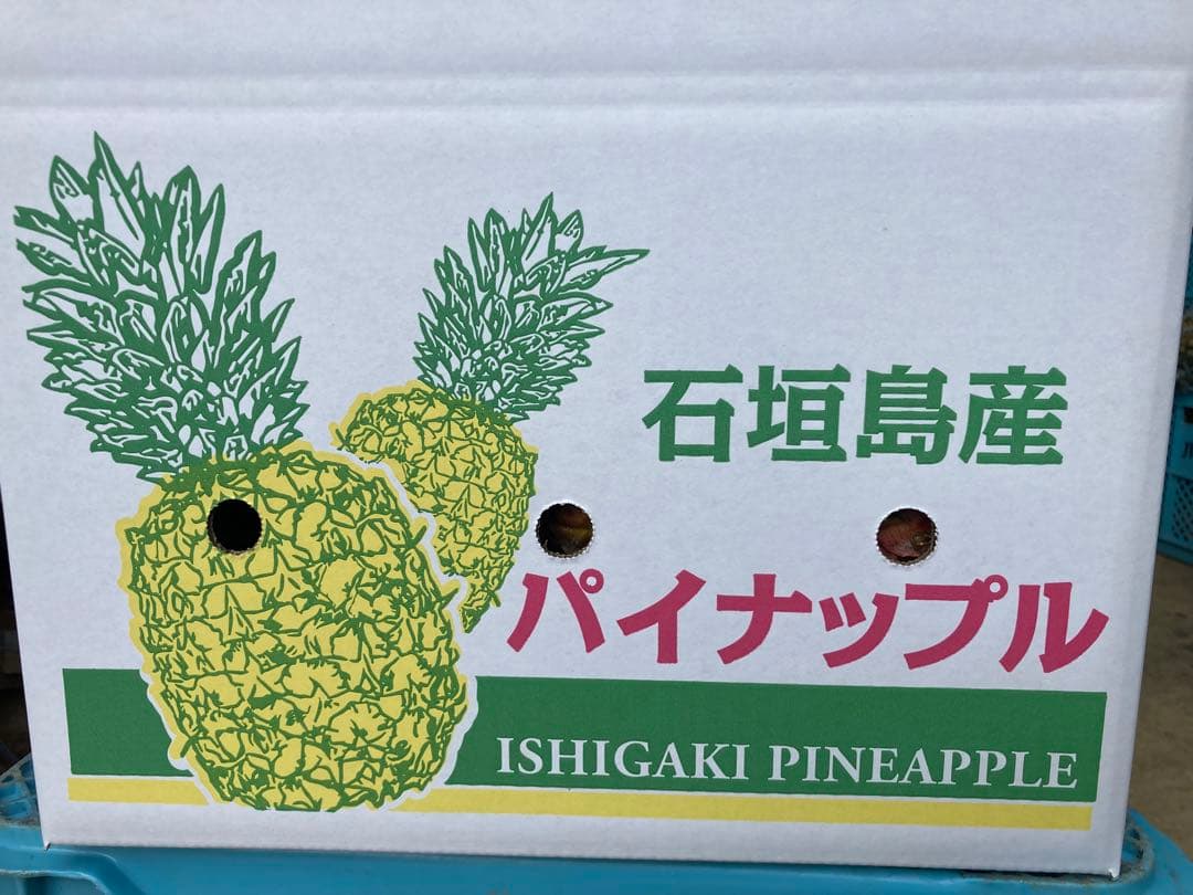 ishigaki island