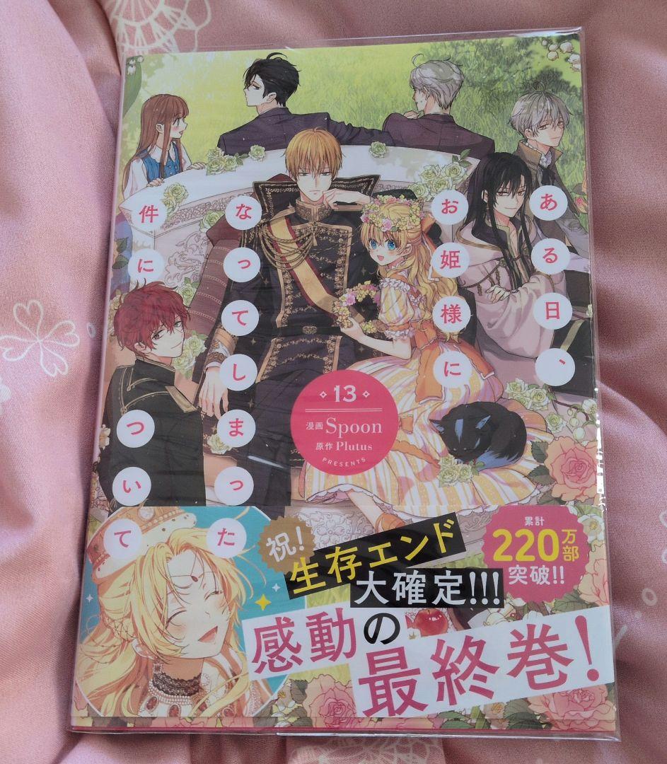 The Case of Becoming a Princess, Vol. 13