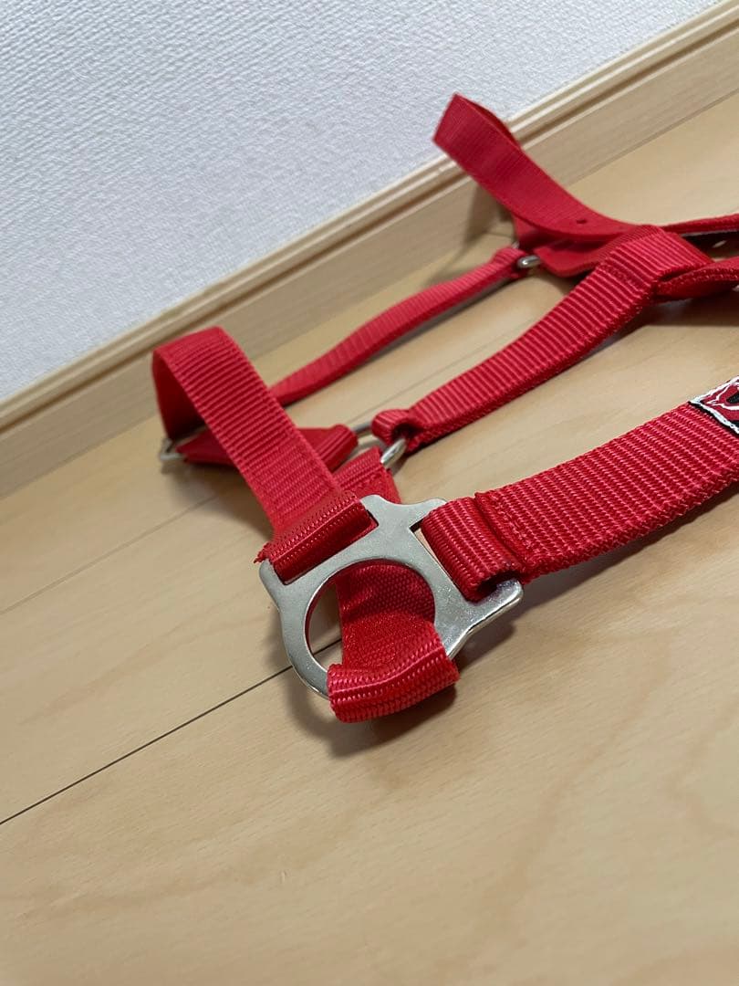 【Unused Item】Horse Riding Equipment, Tack, Halter, STARS