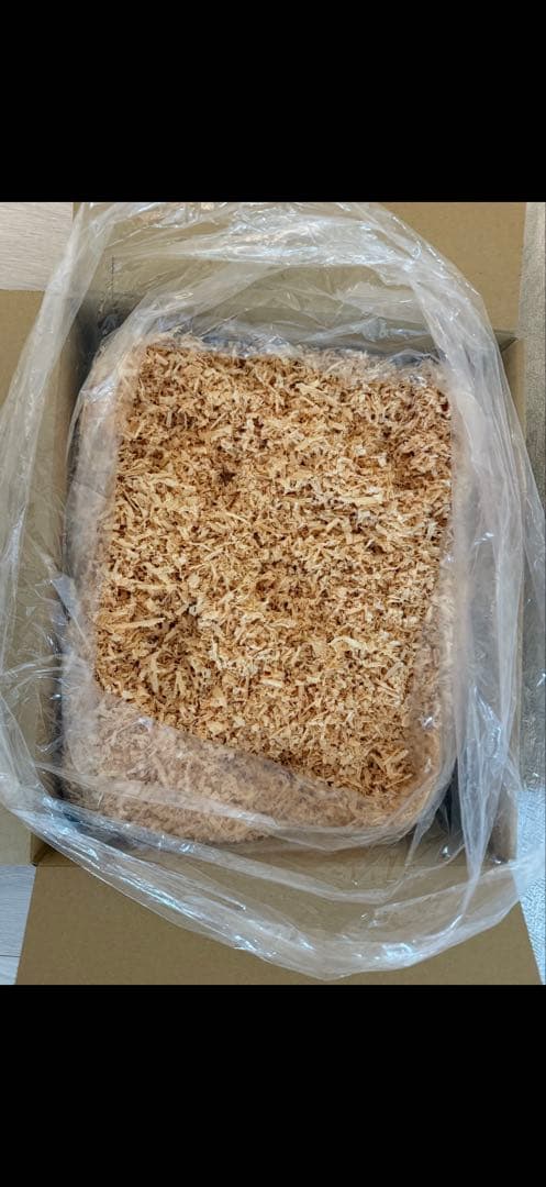 Hinoki Mat 160 Size Free Shipping