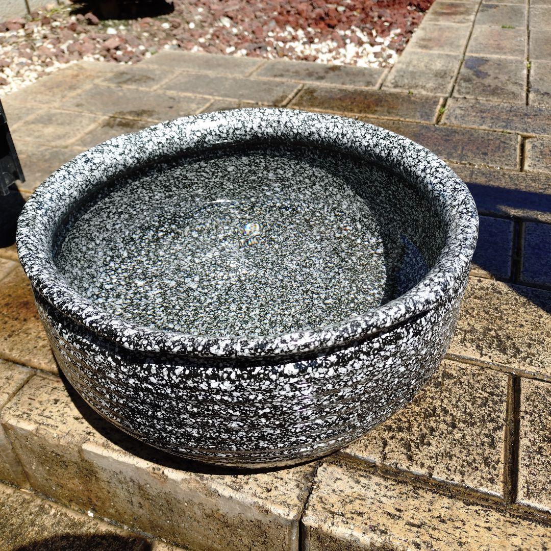 Shigaraki Ware Medaka Bowl, Killifish Bowl, Water Lily Bowl, Water Basin