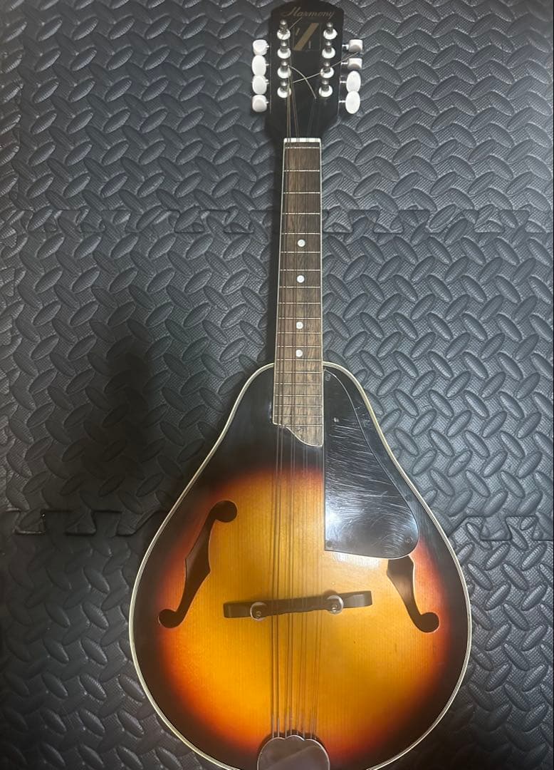 Harmony Mandolin Flat Mandolin 1970 Vintage