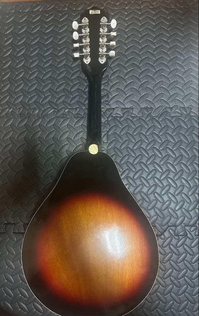 Harmony Mandolin Flat Mandolin 1970 Vintage