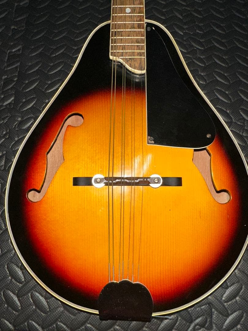 Harmony Mandolin Flat Mandolin 1970 Vintage