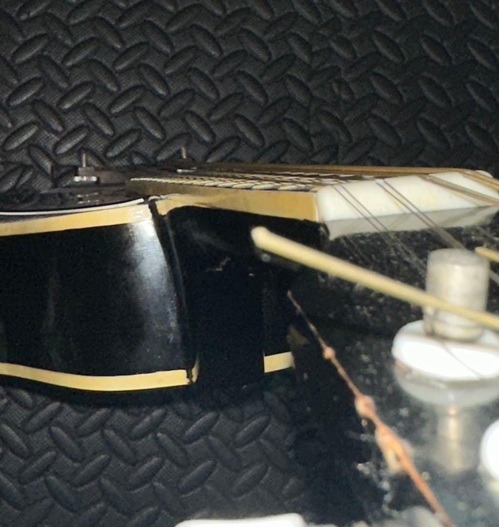 Harmony Mandolin Flat Mandolin 1970 Vintage