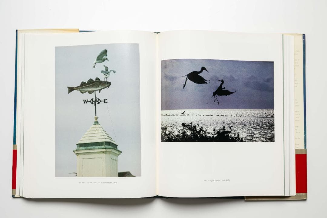 Odysse: National Geographic Masterpiece Collection