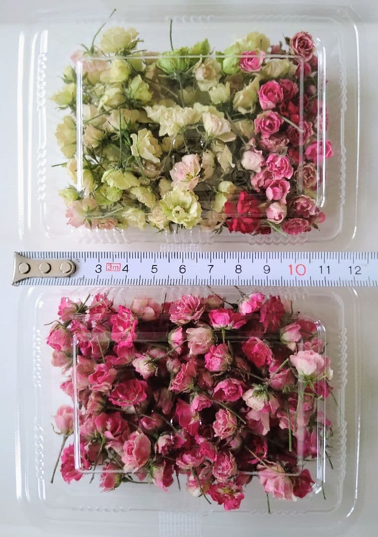 【Ships Immediately】Micro Mini Rose Dried Flower Abundant Handmade Flower Material Set