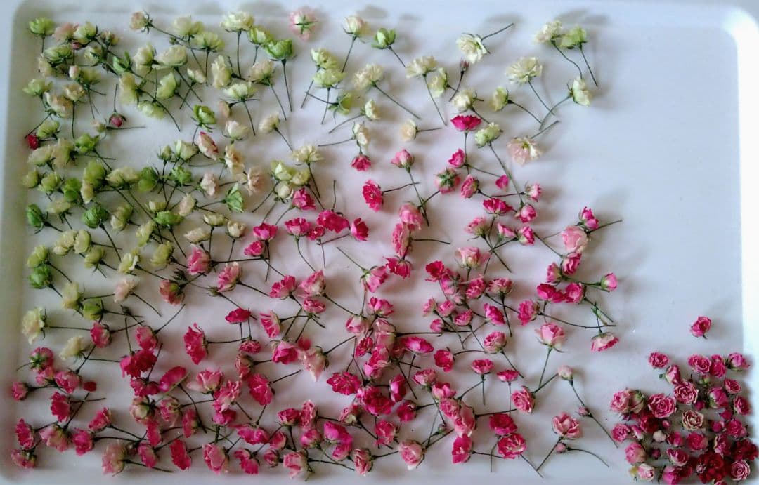 【Ships Immediately】Micro Mini Rose Dried Flower Abundant Handmade Flower Material Set