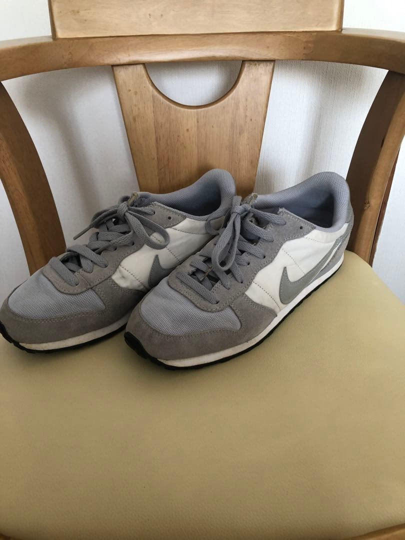 Nike Sneakers Gray/White