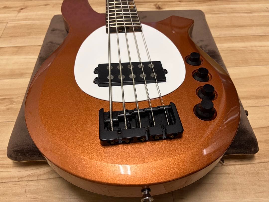 MM Type Custom 5-String Bass, Active, 24 Frets, Parts Donor Welcome