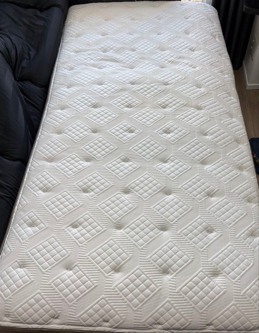 Regalia Circlet Single Mattress