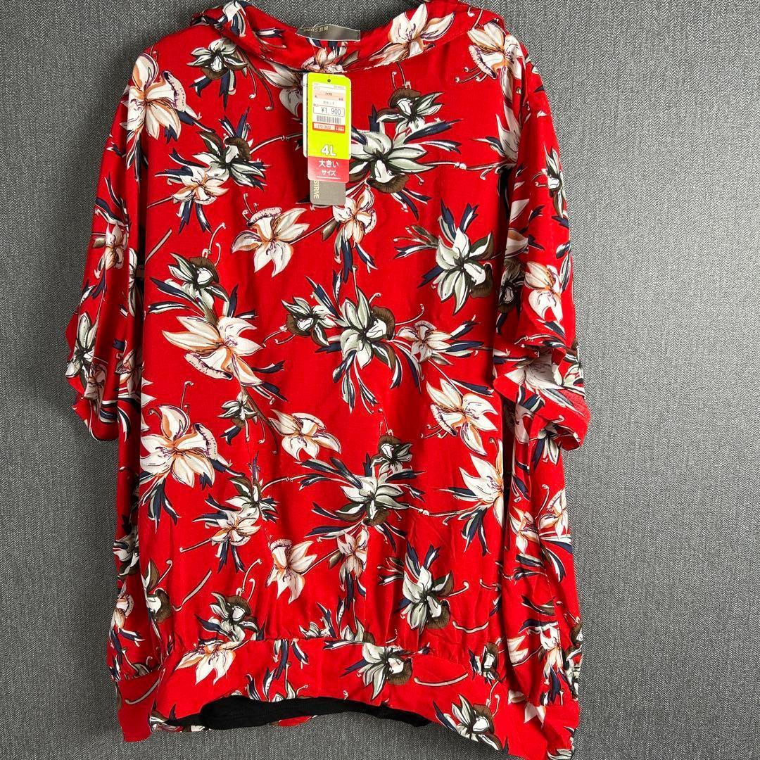 beach 20cm<br>length be