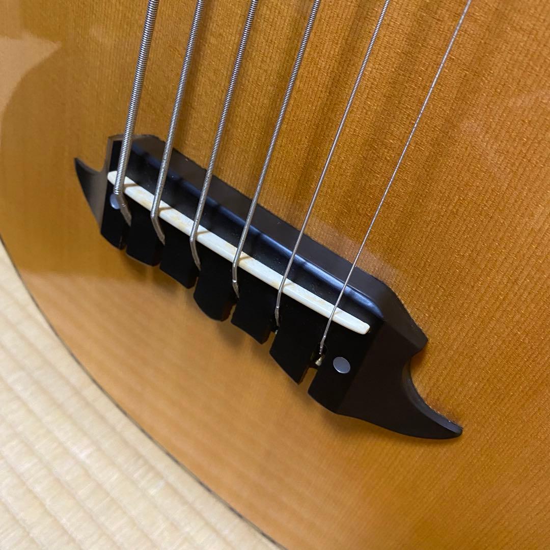【Rare】Athlete 6-String Acoustic Bass AX-6 with Gig Bag