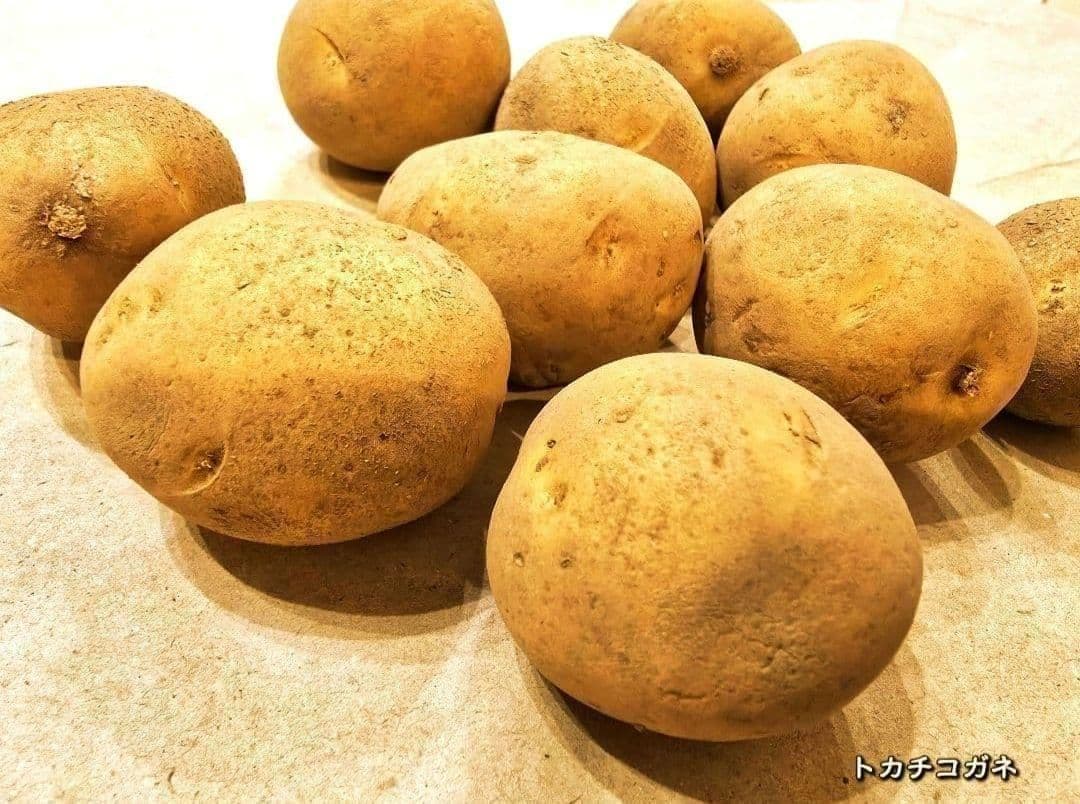 Seed Potatoes [Tokachi Kogane] Spring Planting, 5 pcs, Hokkaido Product, Home Garden, Potato Cultivation, Planter