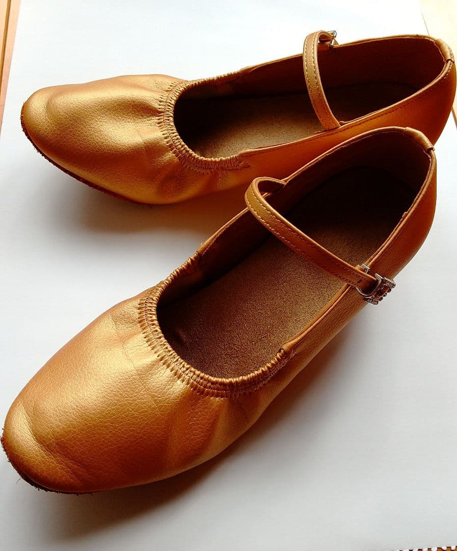 Social Dance Shoes 23.5cm H4cm