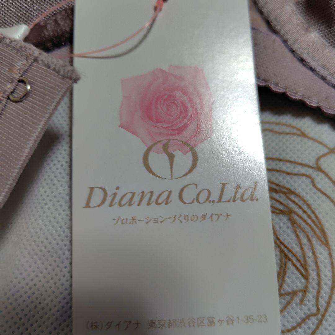 DIANA Iris Gray Bra D75
