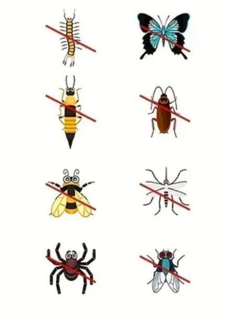 【new unused】insect