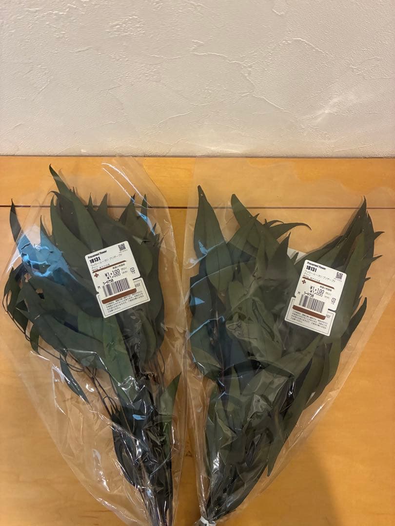 BELLES FLEURS Preserved Eucalyptus, 2 Bunches, Art
