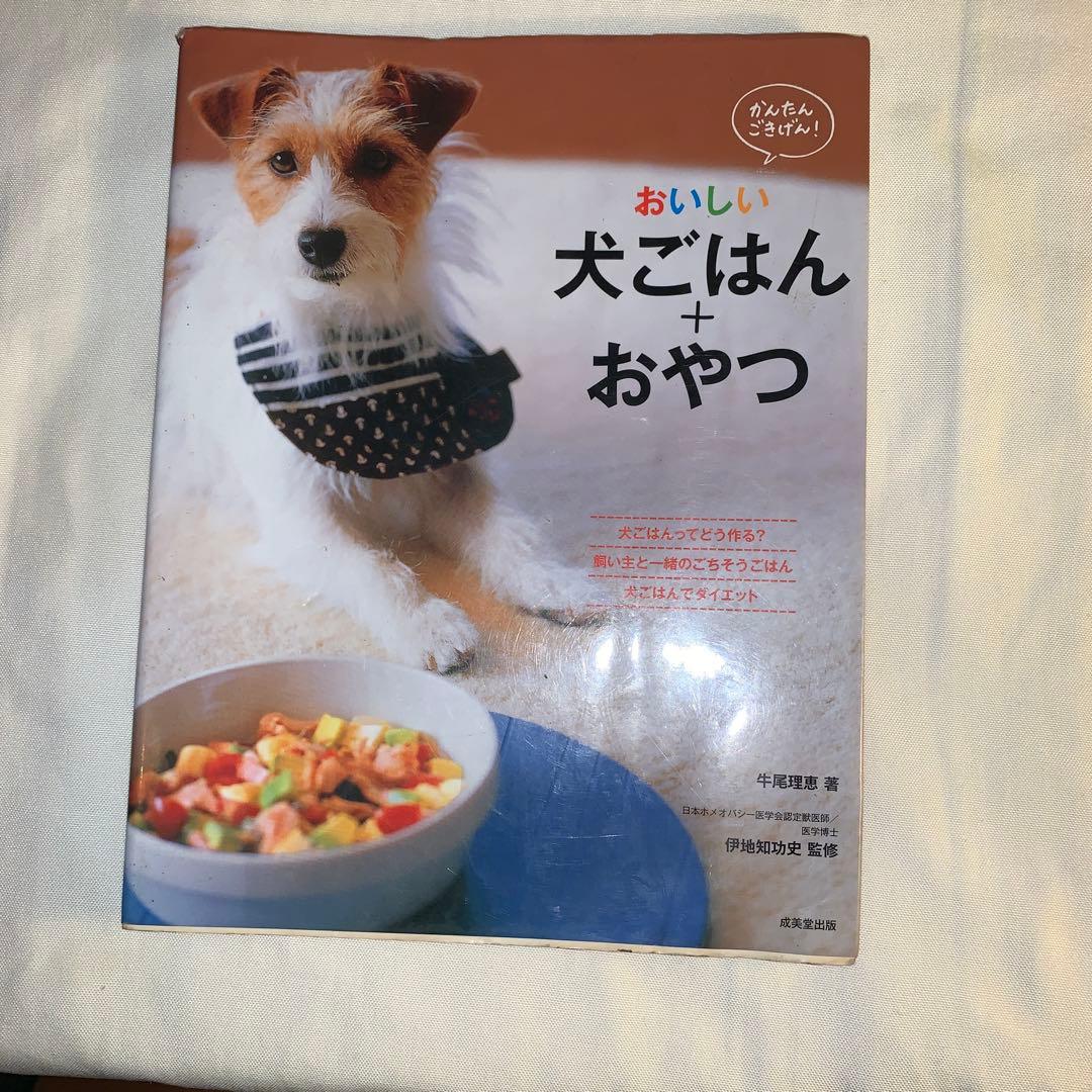 Delicious Dog Food + Treats