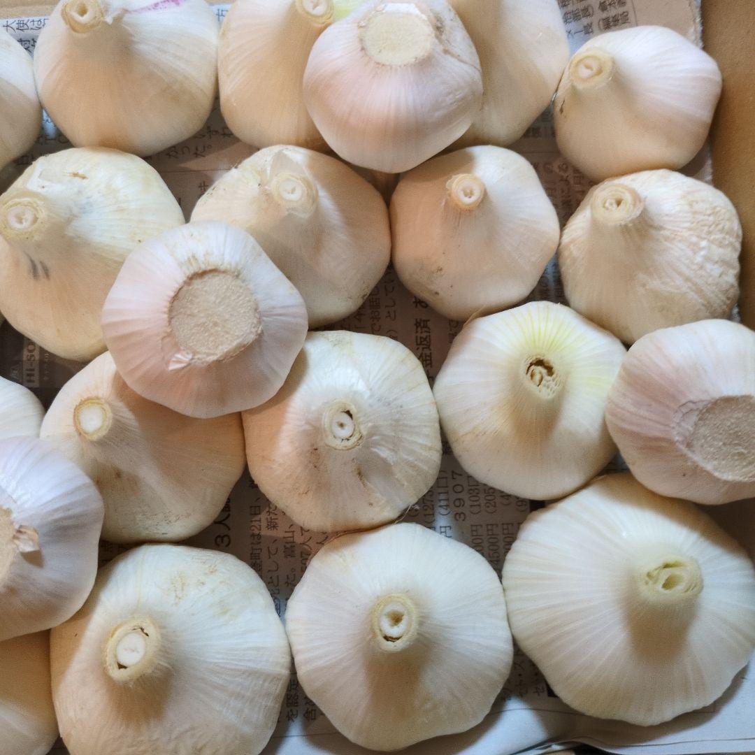 Raw Garlic, 1kg