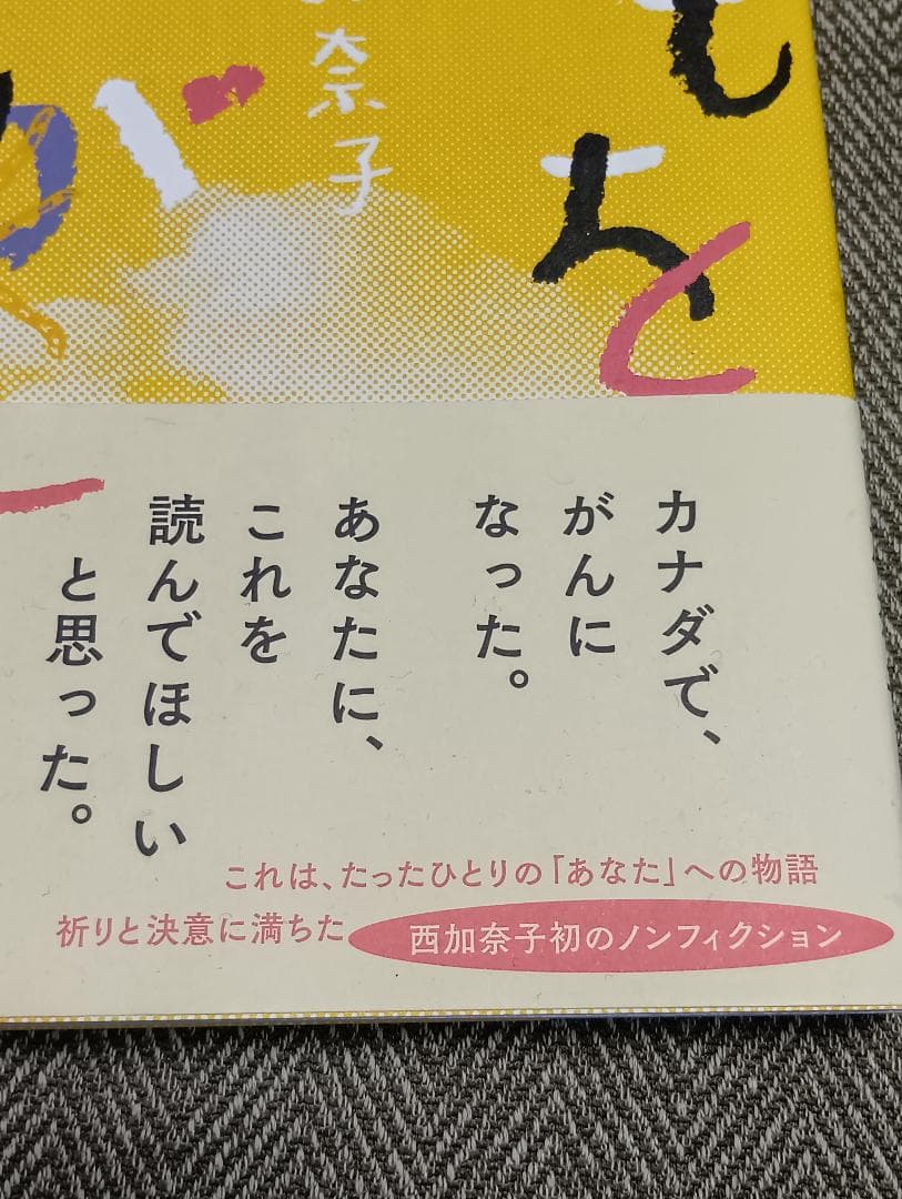 【Excellent Condition】Searching for Clouds / Kanako Nishi【Kawade Shobo Shinsha】