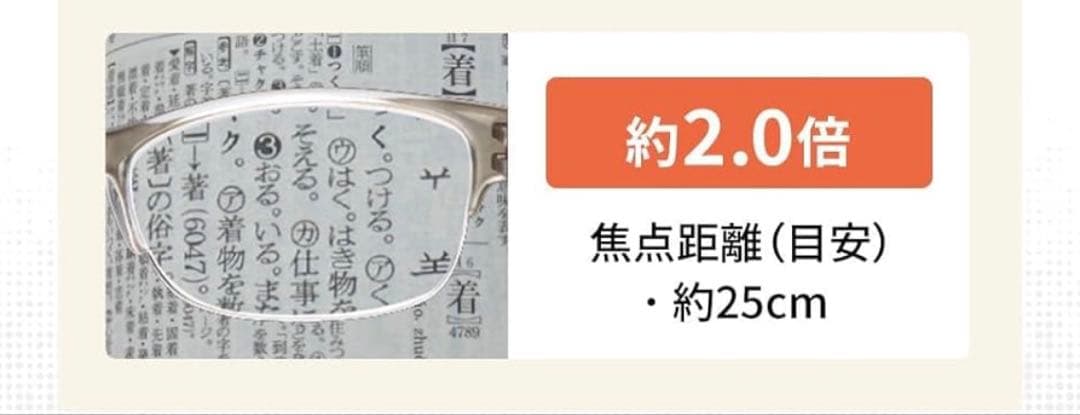 Hiroshi Sanlupe Approx. 2.0x Gray Demi Photochromic Sunglasses Blue Light Cut