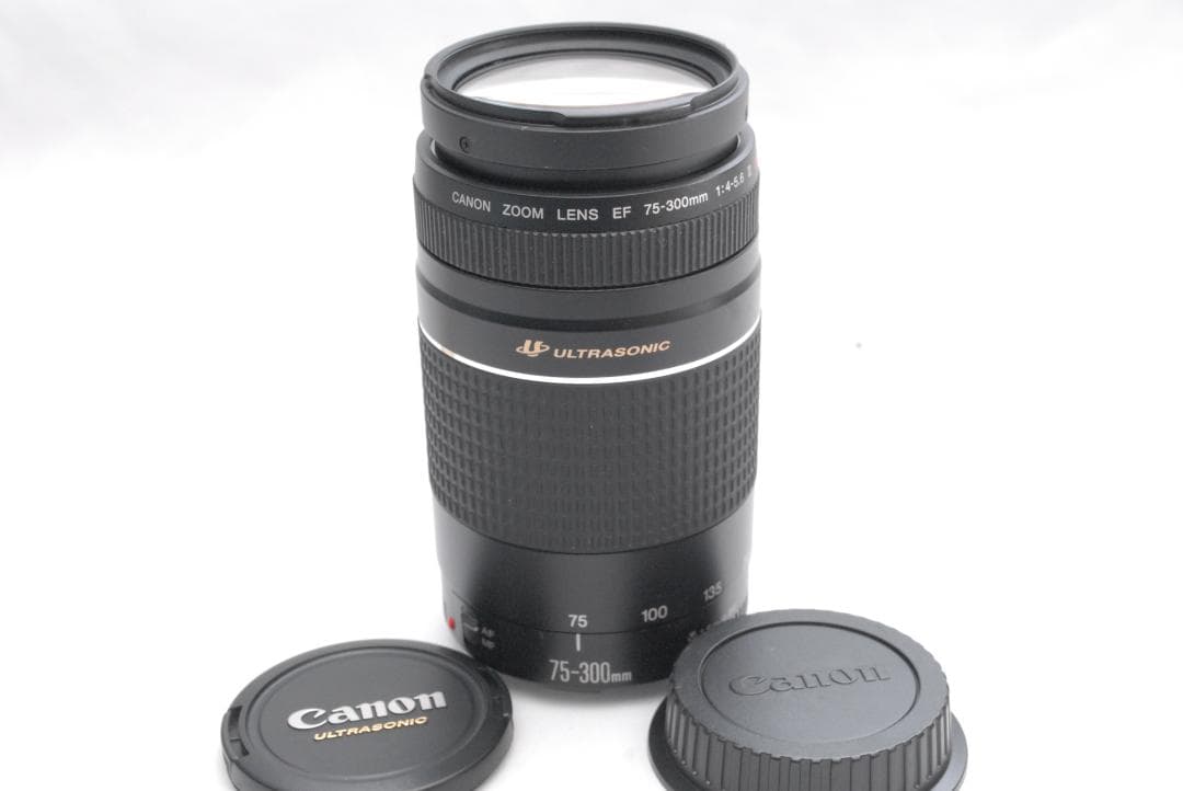 CANON ZOOM LENS EF 75-300mm 1:4-5.6 III USM