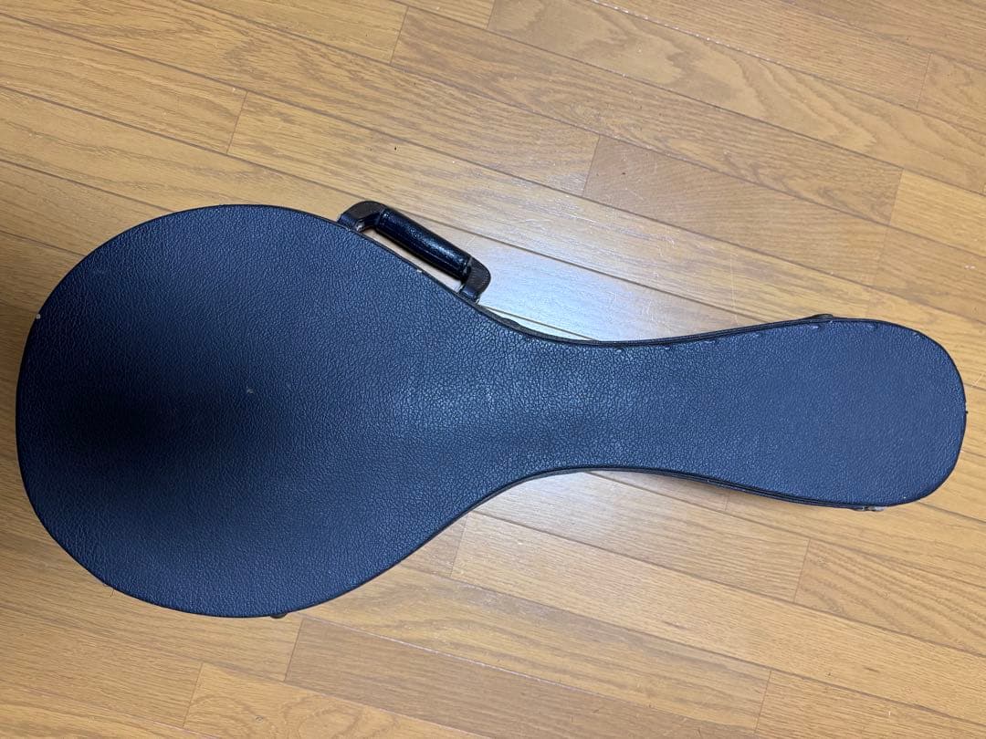Gibson Mandolin A-5L 1989