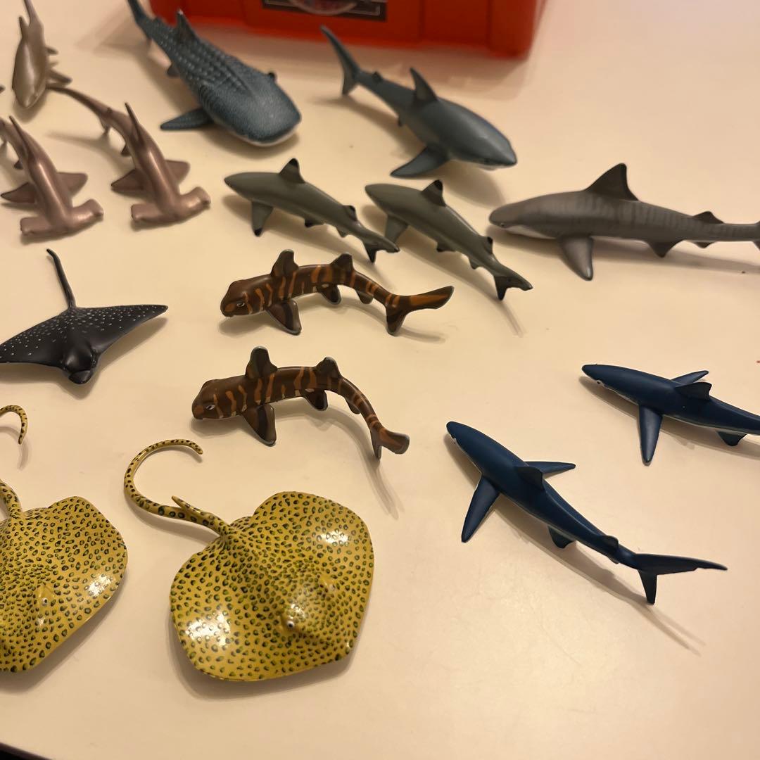 SHARKS BOX 20 pcs
