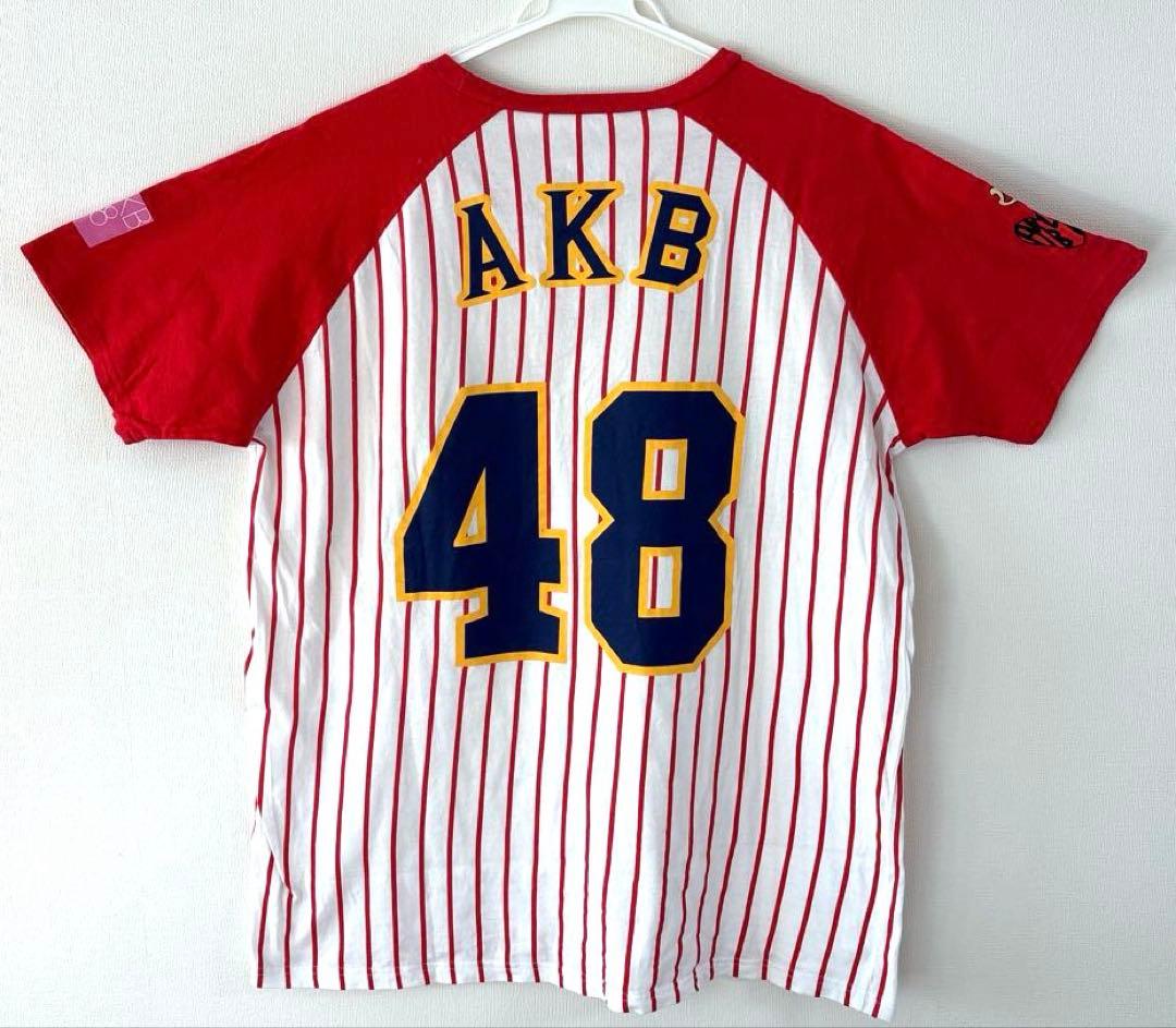 AKB2013 Summer Dome Tour Sapporo Limited T-Shirt (XL Size)
