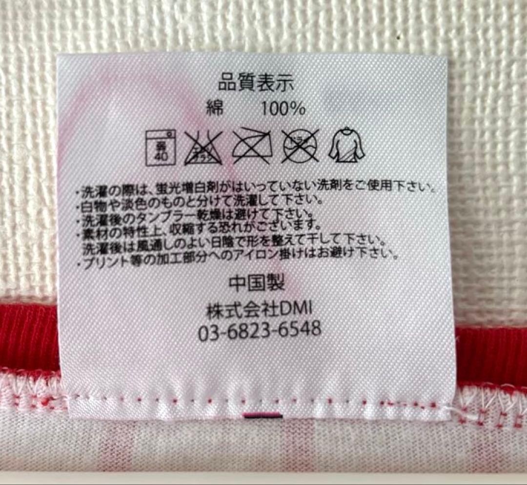 AKB2013 Summer Dome Tour Sapporo Limited T-Shirt (XL Size)