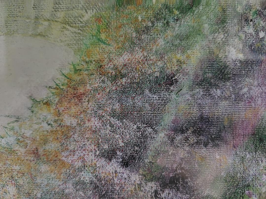 Miyuki Hasekura | Pastel Lithograph
