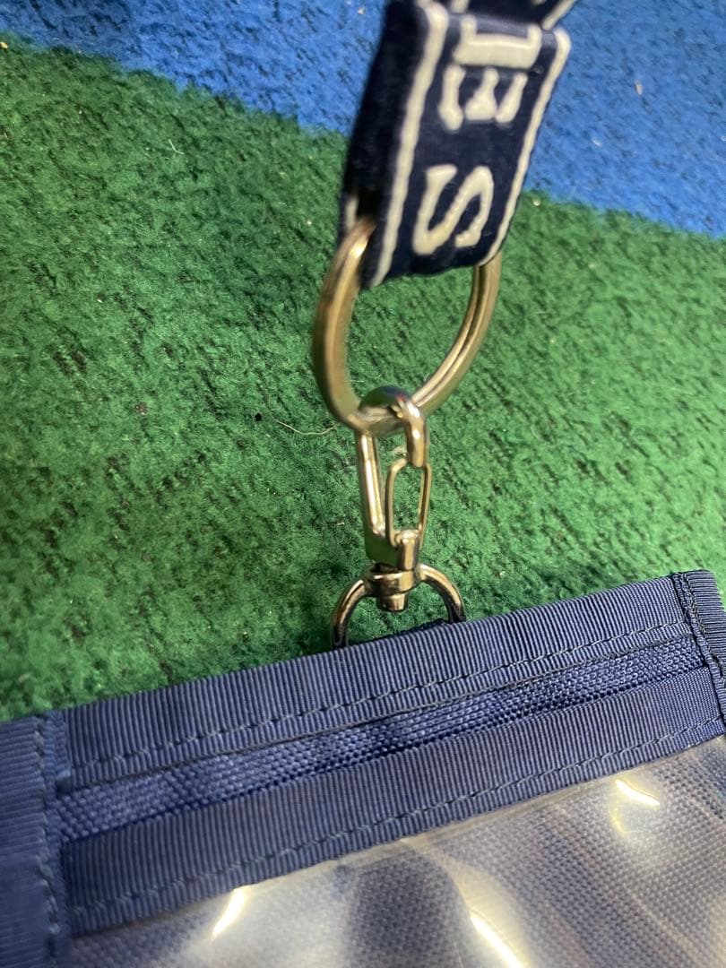 this pass